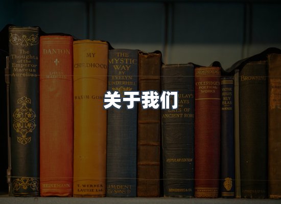 专业团队